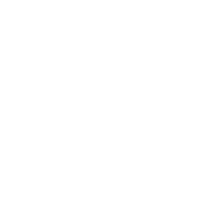 Member, National Association of Public Insurance Adjusters (NAPIA)